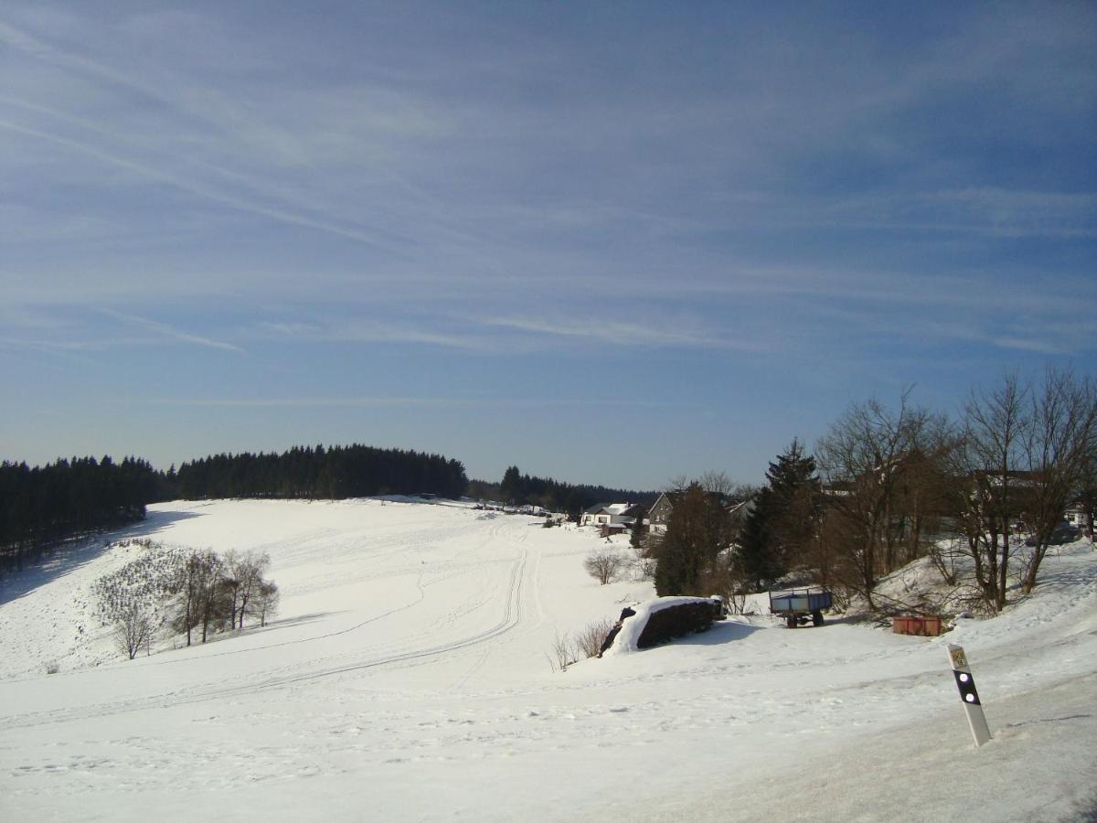 Appartement An Der Erlebniskappe Mit Fahrradkeller Winterberg Ngoại thất bức ảnh
