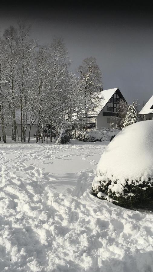 Appartement An Der Erlebniskappe Mit Fahrradkeller Winterberg Ngoại thất bức ảnh