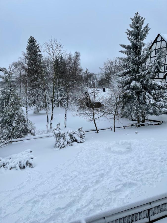 Appartement An Der Erlebniskappe Mit Fahrradkeller Winterberg Ngoại thất bức ảnh